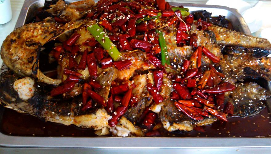 20191230113459324201.jpg 20191230113459324201.jpg