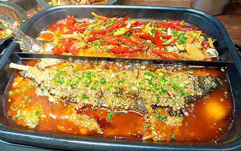 20230722103251583295.jpg IMG_20210617_121937.jpg