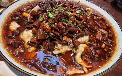 成都涼拌菜培訓如何選擇？學習涼菜技術哪里好