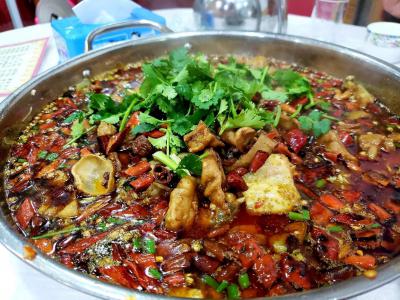 肥腸魚火鍋技術培訓哪里比較好？